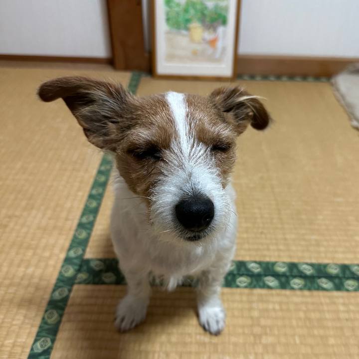 8206de11 a9a1 4fa0 b1ca 0132d47a6bc9 1766352656287