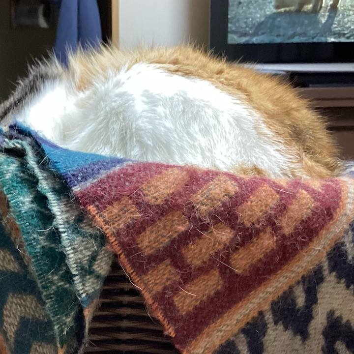 8206ea6b 4853 4ce0 851c 0d3efb9f0691 1672963304587