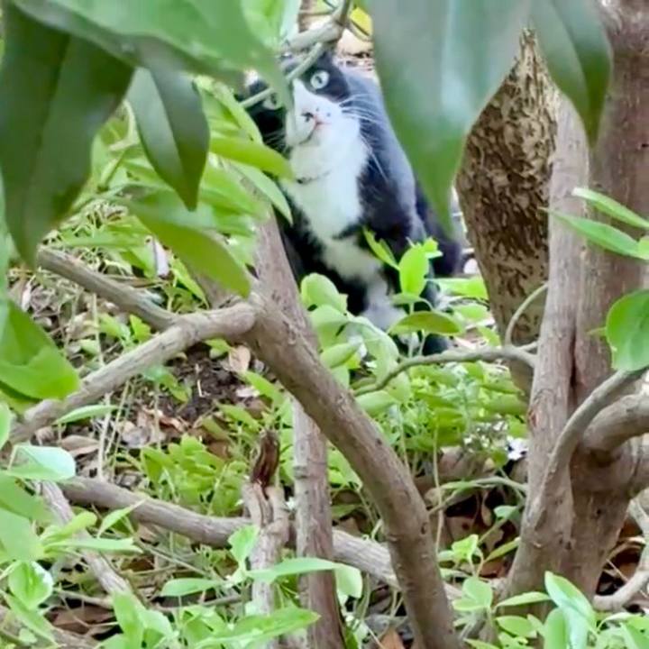 820786bf 3b48 498c 8dc4 d997bcd0737c 1754369197902