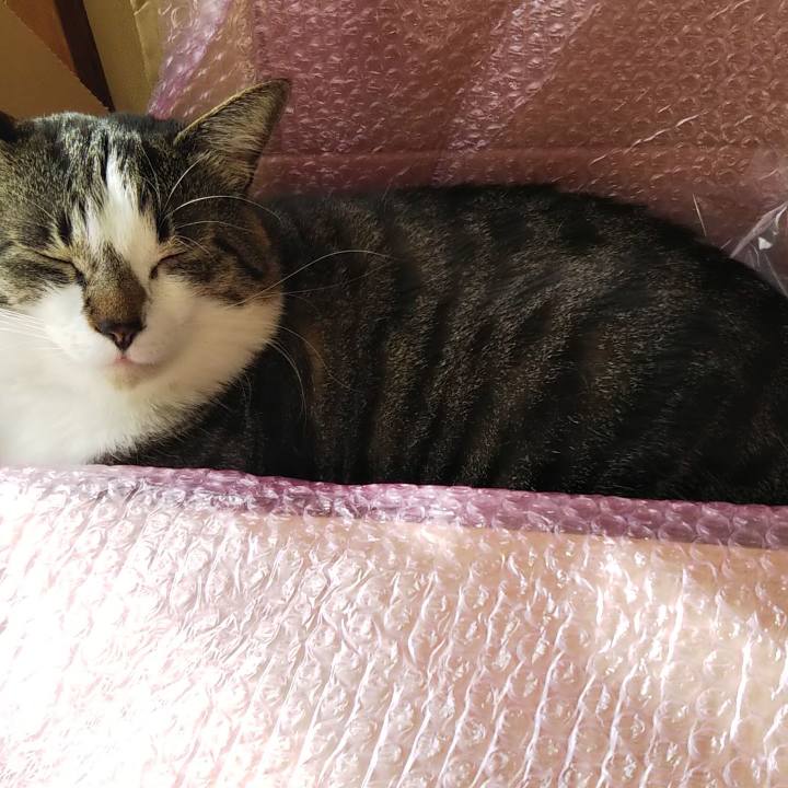 82078eb4 984b 454b afcf eff51751cbf6 1613881008569