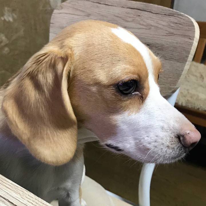 8207da09 857d 4617 80ca 6e76b4ed496f 1555937425118