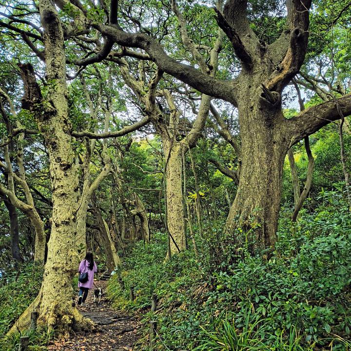 8207e7a4 4c7b 46d7 8858 119dfccce01e 1761920221649