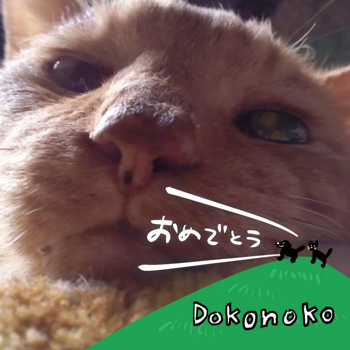 820809f2 cea9 43c0 ad6d 01b2126fa402 1685961896995