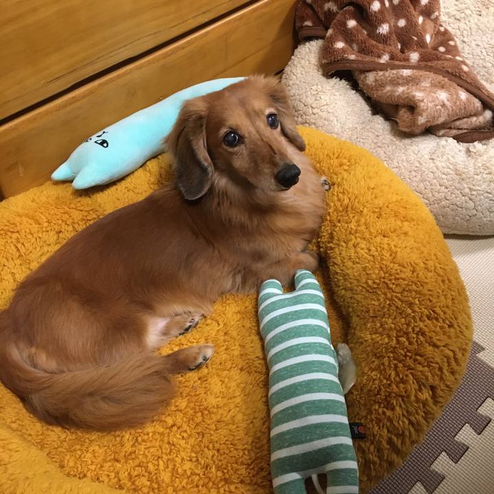 82085a96 973f 44e0 a9a2 cd84bfc43b69 1610541407604