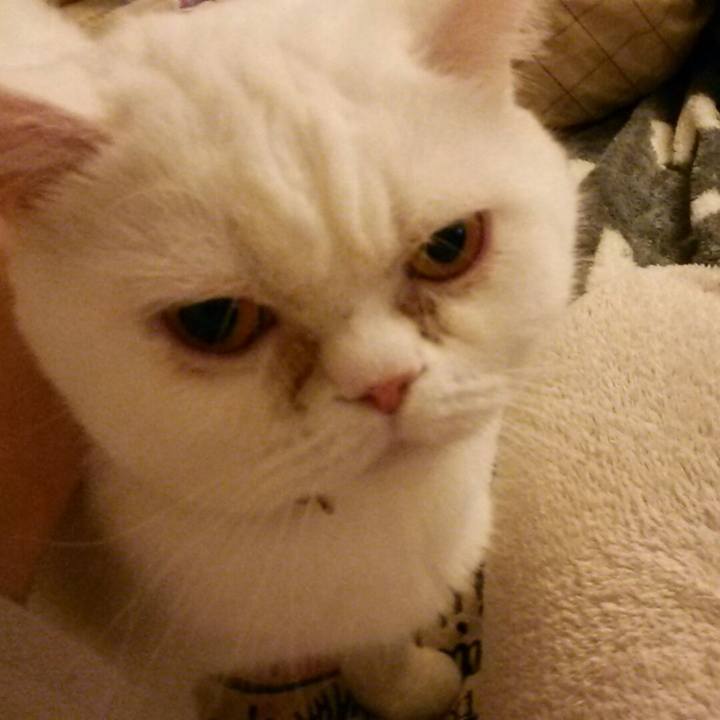 82086ff7 7c5d 4ce4 8334 336d9dfcd37c 1515855518332