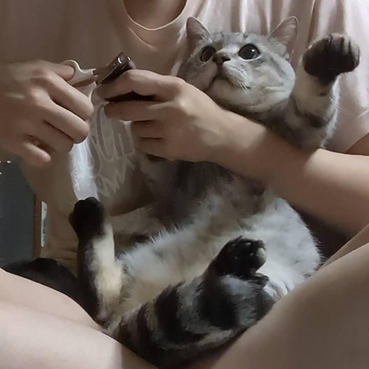 8208bcb7 048c 4d5a 86c0 9f7ff29cfe2e 1692709448722