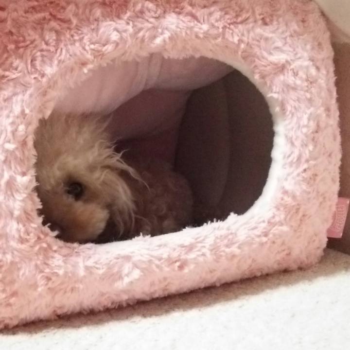 8208c48c 11ce 4e83 b6f9 2c9f7aec20bb 1514544910425