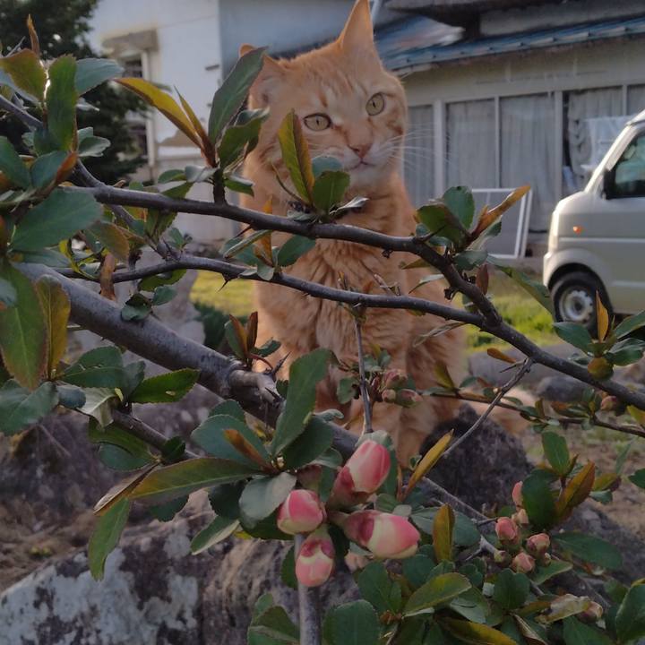 8208d2b2 330f 4b1e b8af 727bf10a7770 1681203197602