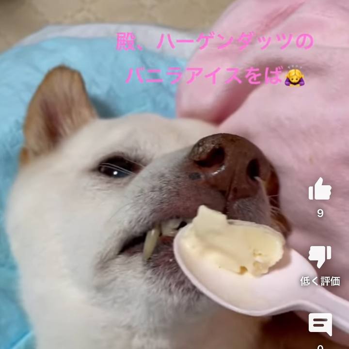 82091096 d26f 45c8 b1bc 7ed54b64b656 1690716642511