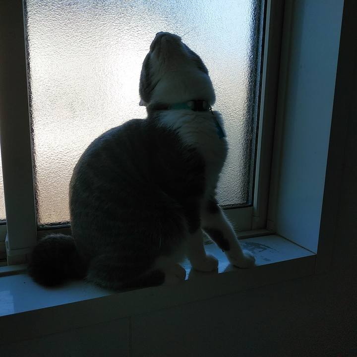 82091d82 48a2 4ff9 8fdd c261bd726bba 1569888603850