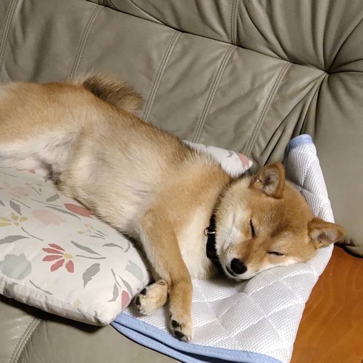 82092596 3671 4700 92ee 90df31312444 1623503164638