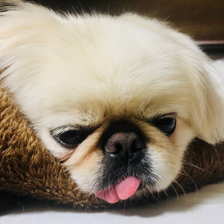 8209a84b f27f 47a6 b4ee 08ee1c02f2c4 1599679987517