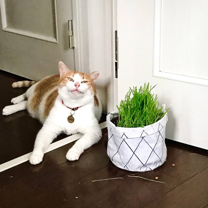 8209b600 4de4 41f5 90f0 b31ab7567103 1595907919952