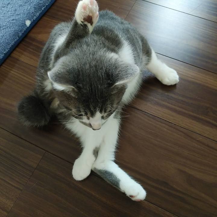 8209bc57 a4a8 4c73 af94 ee4a87c5cf87 1569132167946