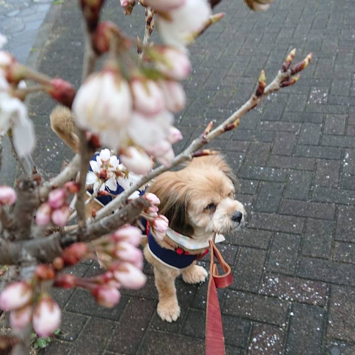 8209c309 b7cb 4947 ae36 2733596da4b5 1582767849255