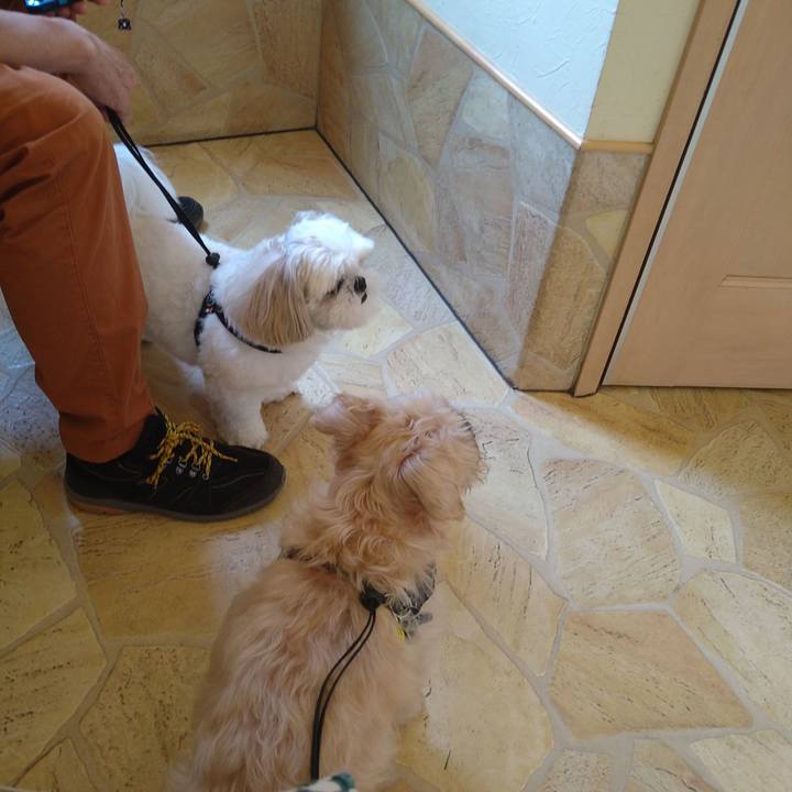 8209c793 de91 4b27 86ba 8a6a59ad52a2 1659754515985