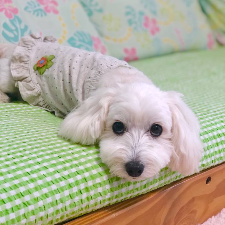 8209c9ff 87e3 4828 ad5b a8949c9b3694 1559873026615