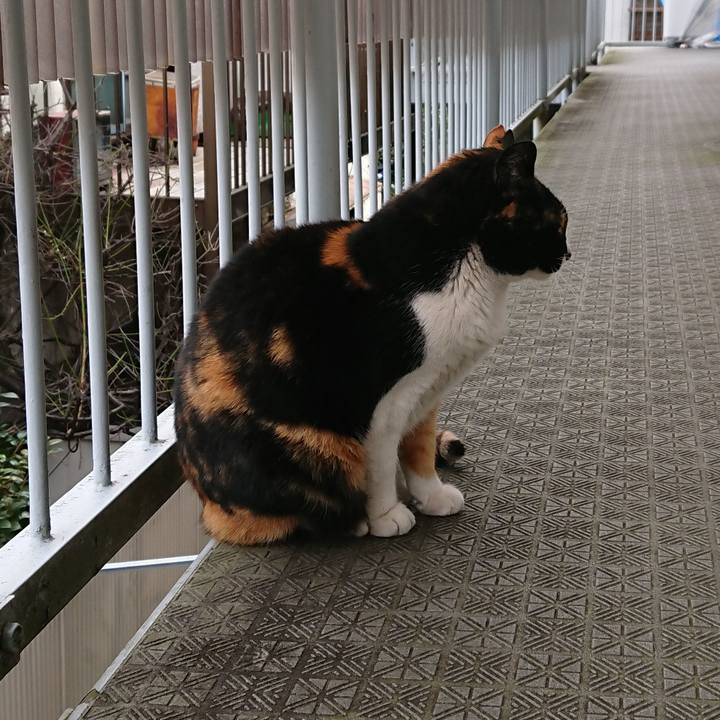 8209d072 a3df 432f ad41 9196c0616456 1581730224823