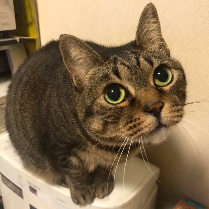 8209dd97 cef7 4e62 9393 4dce64fcc9e2 1615208002783