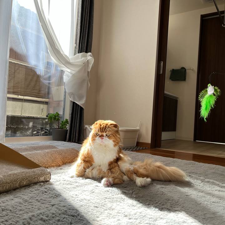 820a0a11 de0f 4737 a142 728842d082e6 1763776801805