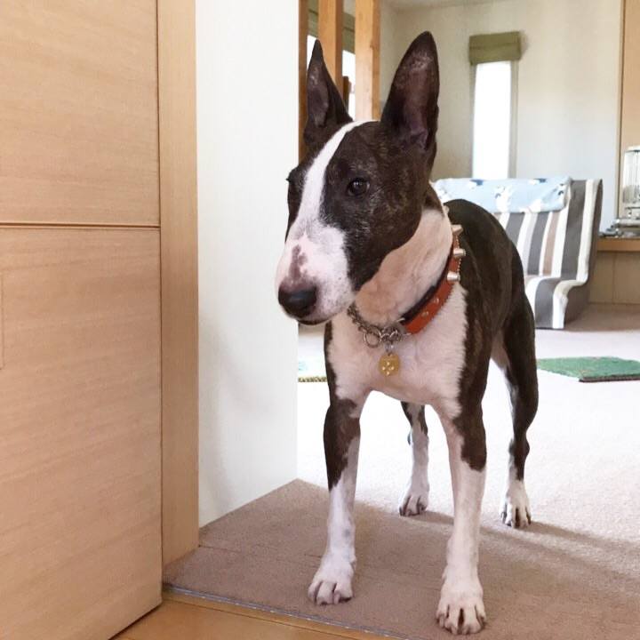 820a0aa9 84cc 4f9c b8eb b32073ec9caf 1510462654657