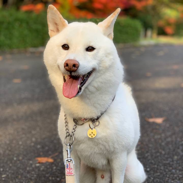 820a0ad1 9cb8 42ab b022 bf9a1aeaffeb 1605491794358