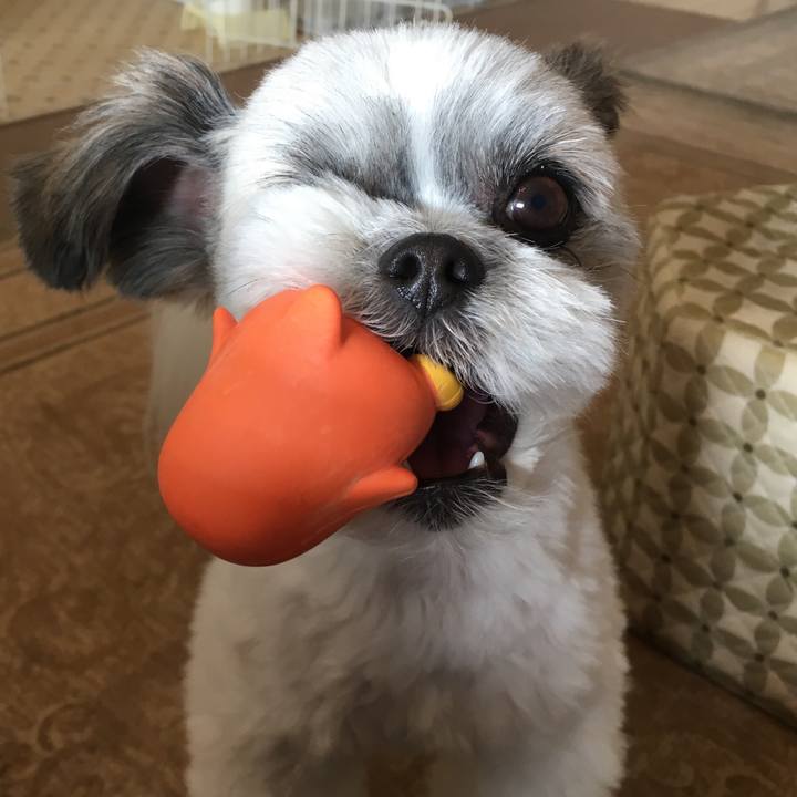 820a1f11 64d6 476c 95bb 6f02b857c256 1540882729413