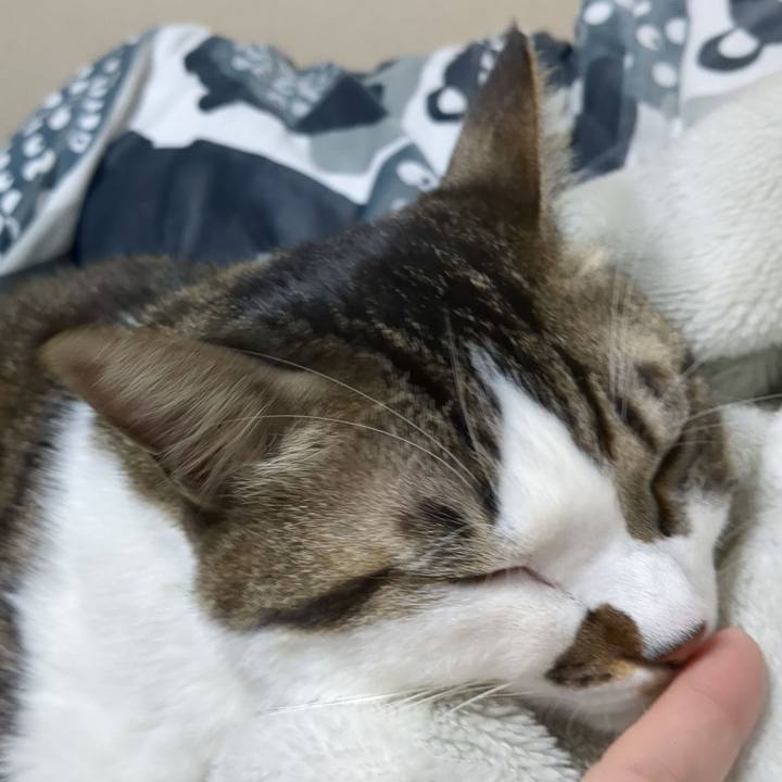 820aa016 a62b 4d99 86f8 fd346c10c47b 1672399943563