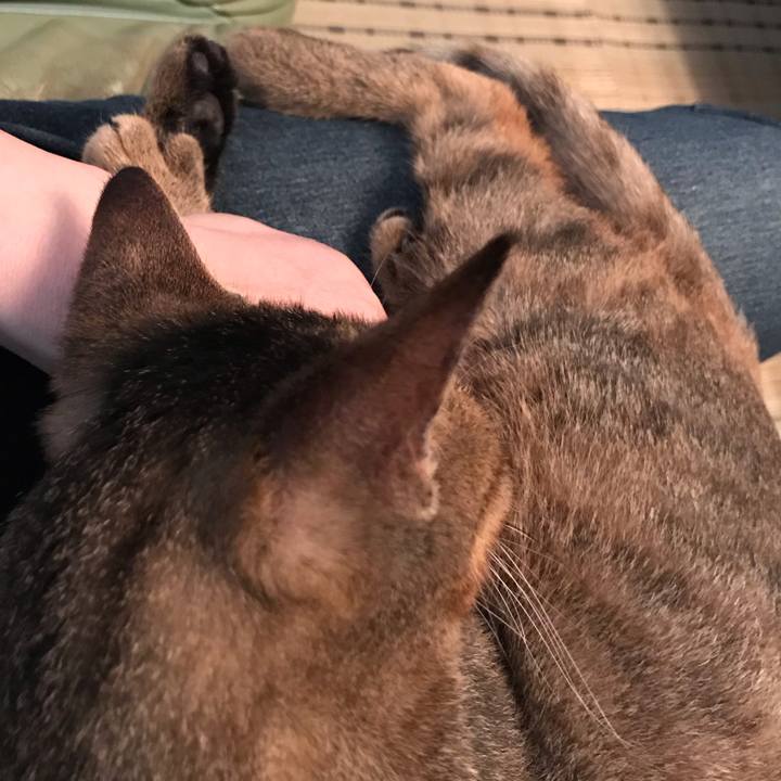 820aaa54 3bba 4194 9d9b bc1b2665f4db 1570850745166