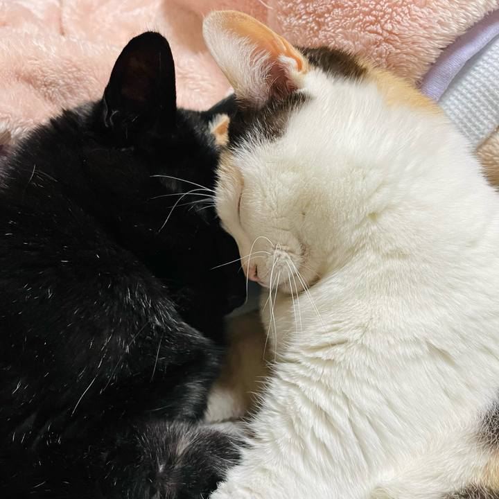 820ab15a da21 43d7 ad87 dc1106edeae6 1651026213746