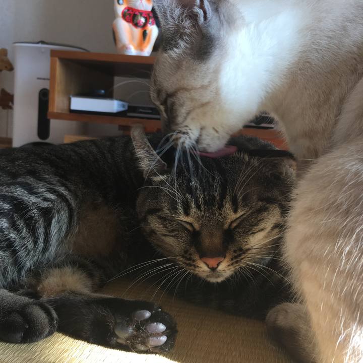 820abaaa 6a97 4d54 afbd 2b896196de75 1548724063648