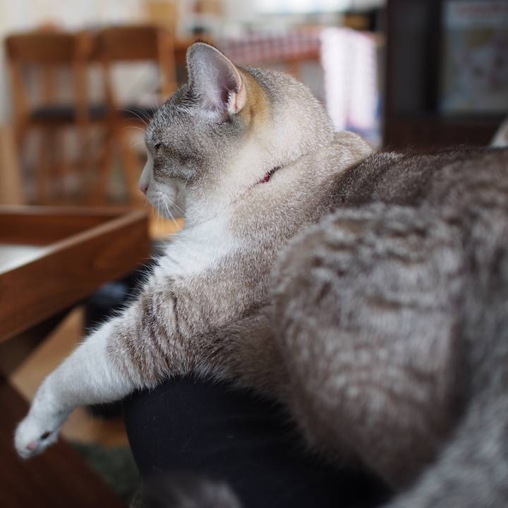 820ad604 1fa3 45d2 916f c318796b4d44 1593226707883