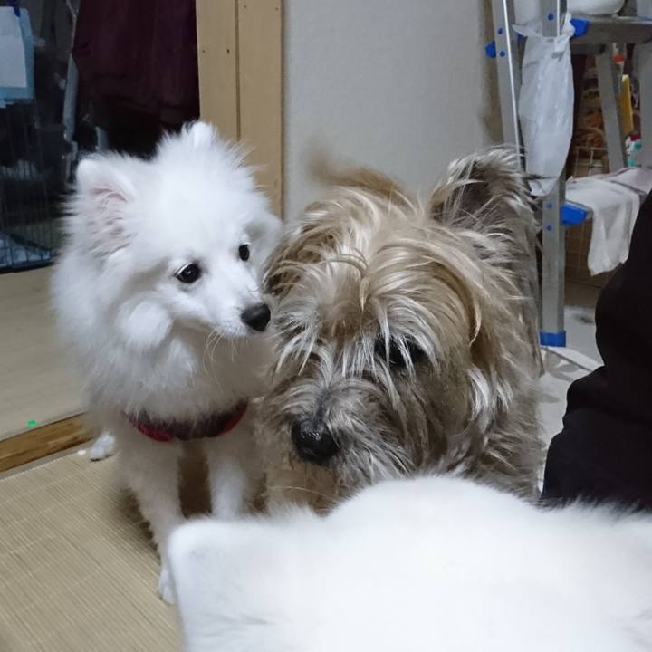 820ae56f ba03 4de0 b263 9272dd216ecf 1552211471239