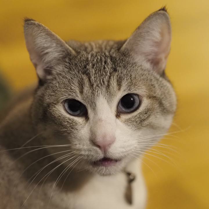 820afe6f af1c 4475 b446 66c326c37a5d 1649773594601