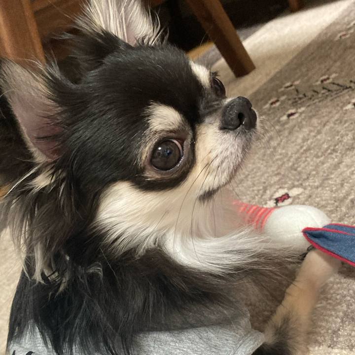 820b16d8 c63a 49c8 8ae1 4012394b3a15 1613917015505