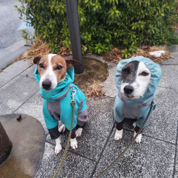 820b2167 0b5f 4577 895f dfdb5c737bc5 1741124445201