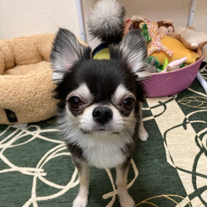 820b615e a5ee 4bd6 b4af e3dd92473c9d 1645623763006