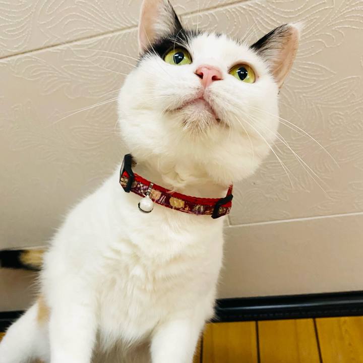 820bb102 5d07 446f bb0a 5089f7932c95 1663567520798