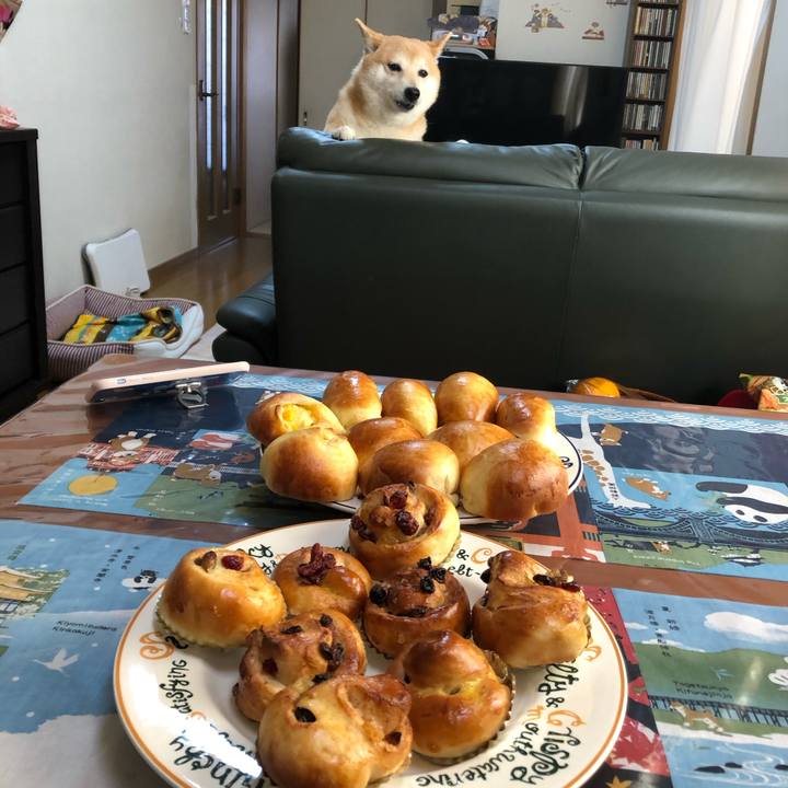 820bb22f 3d0f 4b28 b17a 5037814af2ce 1587800235812