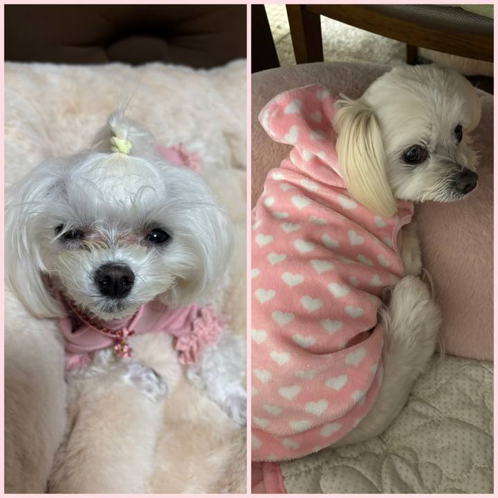 820bf90a a781 4463 b206 32a1c51a8eaf 1740652473287