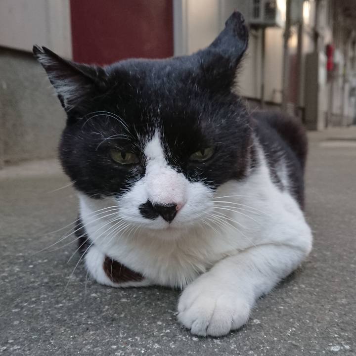 820bfb55 b3c3 4d2b 8f10 c41583c6407e 1526902503047