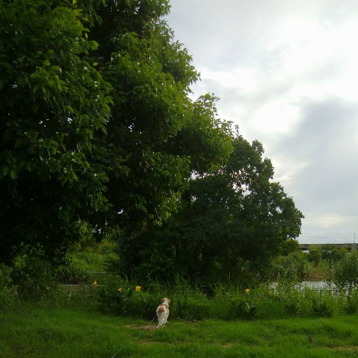 820c2923 0f15 4e80 9eeb eeb90e201816 1534418709191