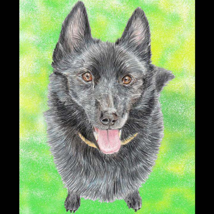 820c3aab e38b 4a5e af61 cae37bb0e1c0 1662934140929