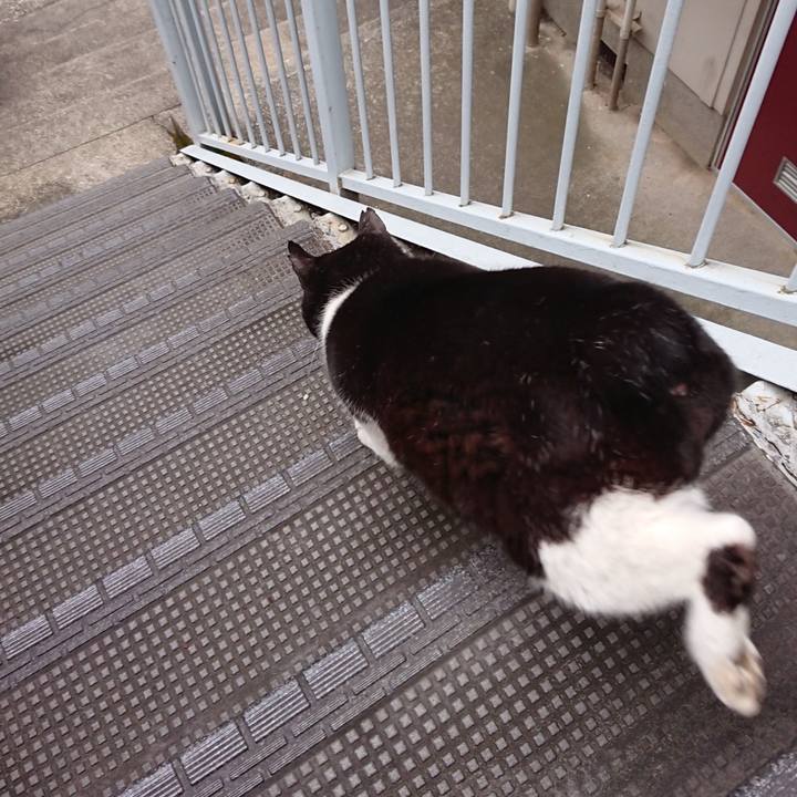 820c47d9 ff19 4d6b ba90 c03a36360c6e 1648363248019