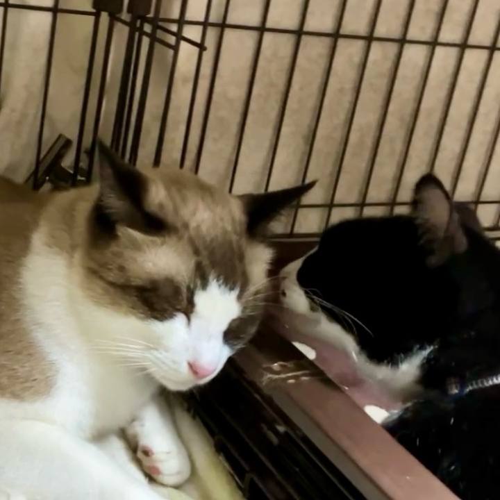 820c4b16 264d 438c ba85 8507ae18d5c9 1728293172587