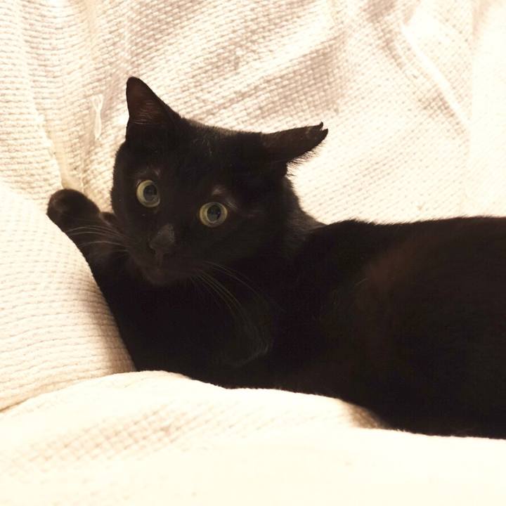 820c5187 c730 4999 8fbb 7df25df74302 1518656673687