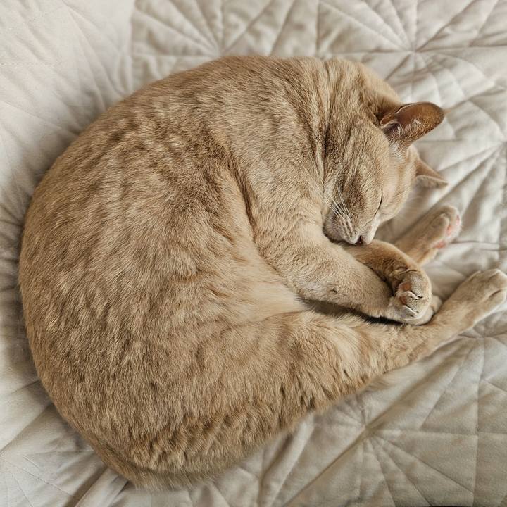 820c6cd5 0192 4f39 8db9 1122d47ec60f 1760847864211