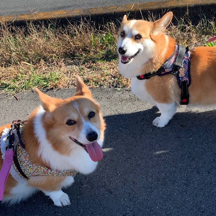 820cdc91 c351 4e00 a96a a186bf684ce0 1669523748851