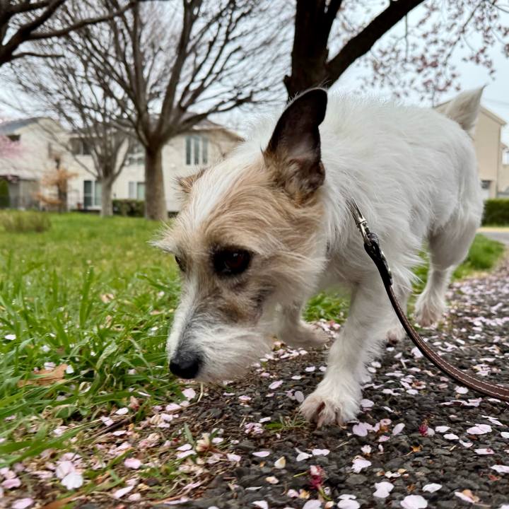 820ceb5e 7cbe 45d8 a3f6 806e15434a7b 1774270360951