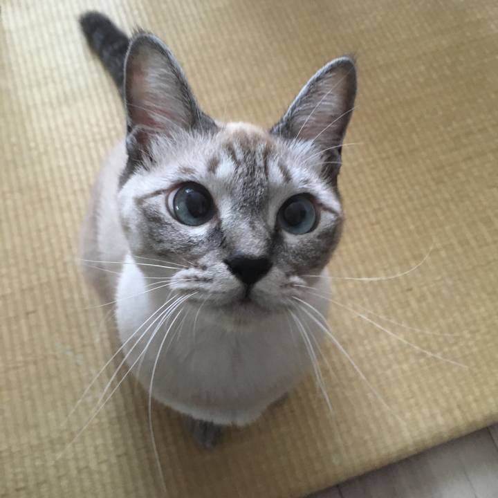 820d21d3 ba30 44c0 907b 1d2fc4b63d8e 1571451902752